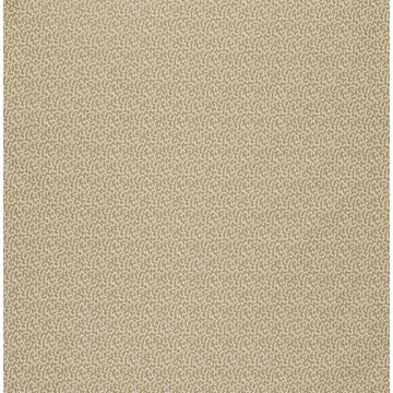 Lorca - Louisiane - Coquine - MLF2191-06