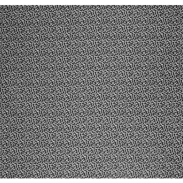 Lorca - Louisiane - Coquine - MLF2191-07