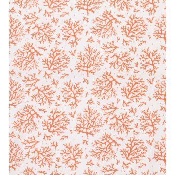 Lorca - Louisiane - Coralie - MLF2196-01