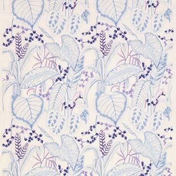 Lorca - Anopura - Sumatra - MLF2241-02