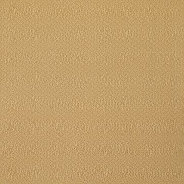 Lorca - Anopura - Vanini - MLF2246-01