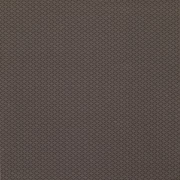 Lorca - Anopura - Vanini - MLF2246-04