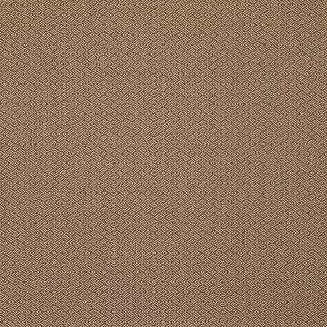 Lorca - Anopura - Vanini - MLF2246-05