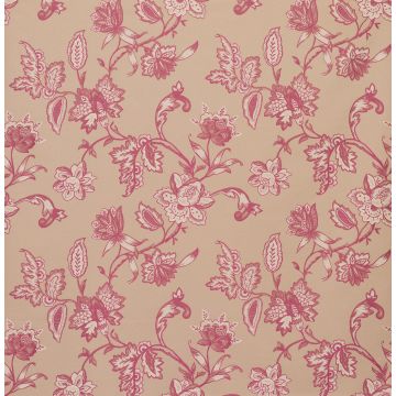 Nina Campbell - Talara - Celendin - NCF4072-01