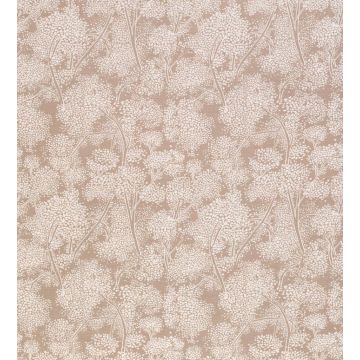 Nina Campbell - Woodsford - NCF4090-02