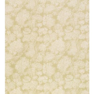 Nina Campbell - Woodsford - NCF4090-06