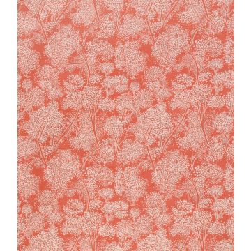 Nina Campbell - Woodsford - NCF4090-07