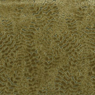 Nina Campbell - Cathay Weaves - Lizong - NCF4160-07