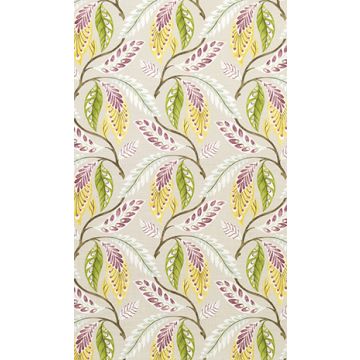 Nina Campbell - Fontibre - NCF4195-05