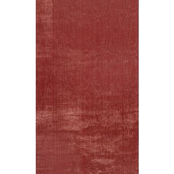 Nina Campbell - Cantabria - NCF4211-10