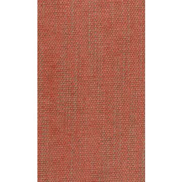 Nina Campbell - Fontibre Chenille - NCF4231-01