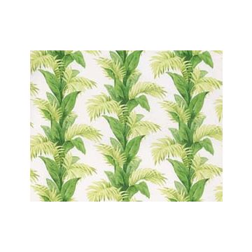 Nina Campbell - Palmetto - NCF4246-01