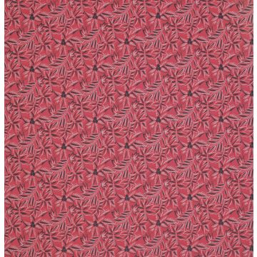 Nina Campbell - Loulou - NCF4283-01