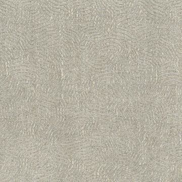 Nina Campbell - Verve - NCF4285-02