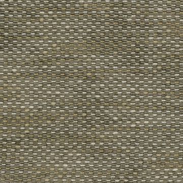 Nina Campbell - Tartuffe - NCF4311-03