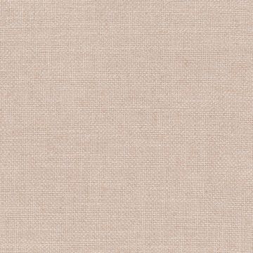 Nina Campbell - Colette - NCF4312-04