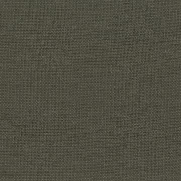 Nina Campbell - Colette - NCF4312-07