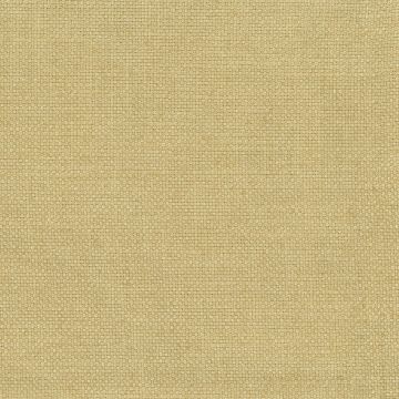 Nina Campbell - Colette - NCF4312-08