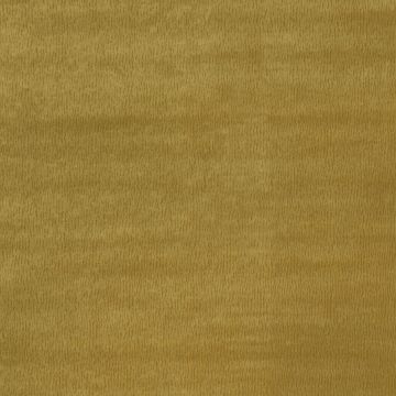 Nina Campbell - Béjart - NCF4314-03