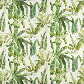 Nina Campbell - Benmore - NCF4365-02