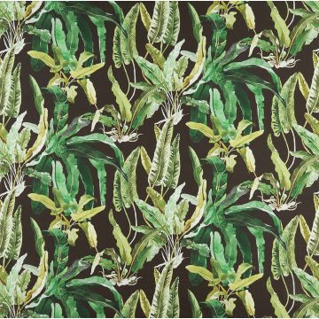 Nina Campbell - Benmore - NCF4365-03