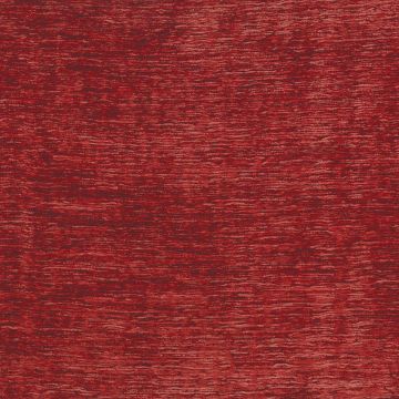 Nina Campbell - Charlton - NCF4380-04