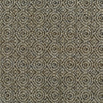 Nina Campbell - Rushlake - NCF4381-05