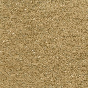 Nina Campbell - Amberley - NCF4383-02