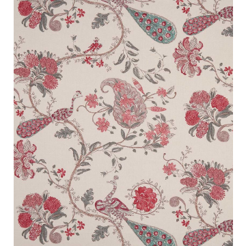 Nina Campbell - Parvani - NCF4400-04