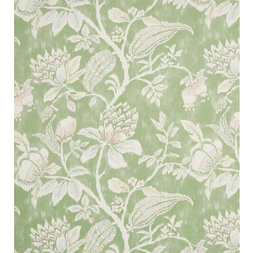 Nina Campbell - Pondicherry - NCF4402-02