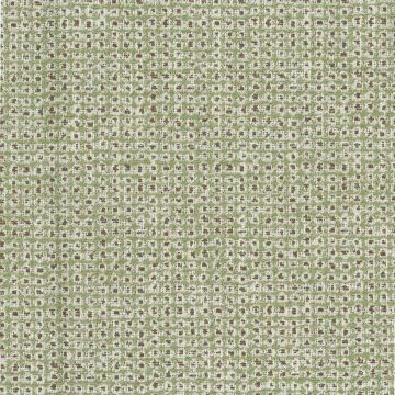 Nina Campbell - Lavani - NCF4421-05