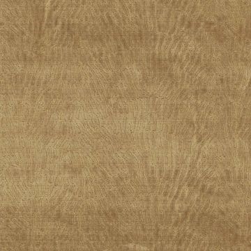 Nina Campbell - Parsa - NCF4440-03