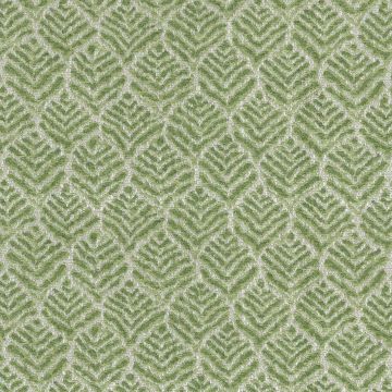 Nina Campbell - Miran - NCF4441-02