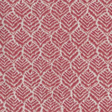 Nina Campbell - Miran - NCF4441-06