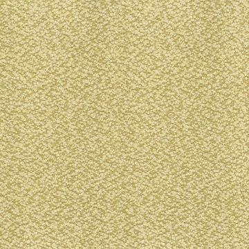 Nina Campbell - Cardot - NCF4451-04