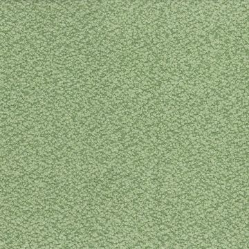 Nina Campbell - Cardot - NCF4451-05