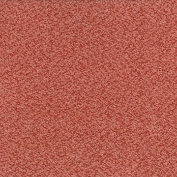 Nina Campbell - Cardot - NCF4451-07