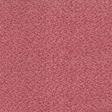 Nina Campbell - Cardot - NCF4451-08