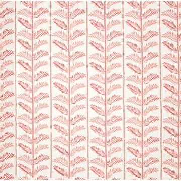 Nina Campbell - Plumier - NCF4462-02