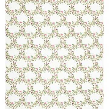 Nina Campbell - Arber - NCF4464-04