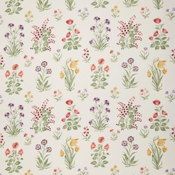 Nina Campbell - Dapuri - NCF4466-03