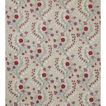 Nina Campbell - Madeleine - NCF4482-03