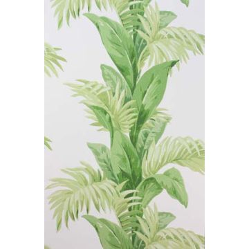 Nina Campbell - Palmetto - NCW4274-01