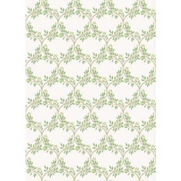 Nina Campbell - Arber - NCW4495-01