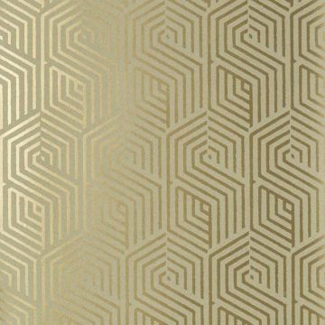 Nobilis - Chicago - COS42