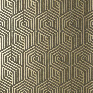 Nobilis - Chicago - COS43