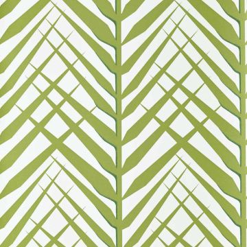 Nobilis - Panama - COS52