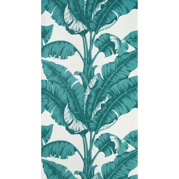 Nobilis - La Havane - COS80