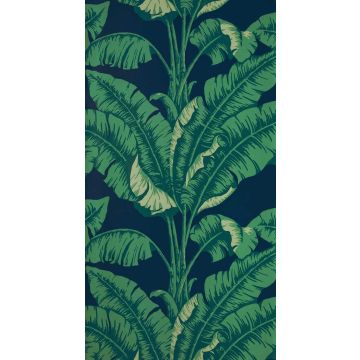 Nobilis - La Havane - COS82