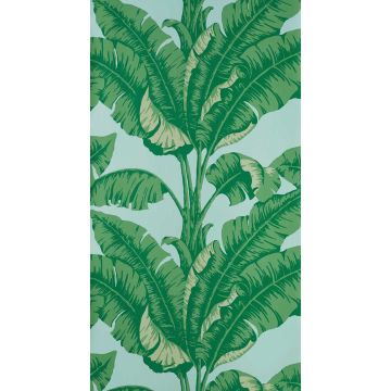 Nobilis - La Havane - COS83